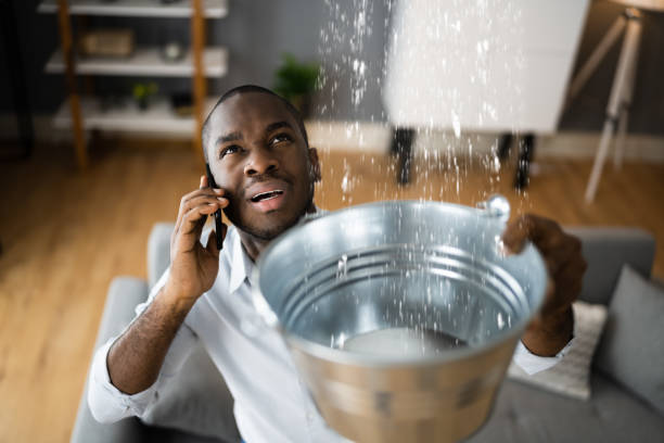 Best Mold removal after water damage  in Sparrow Bush, NY