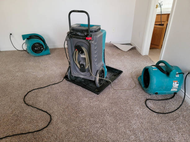 Best Fire Damage Restoration  in Sparrow Bush, NY