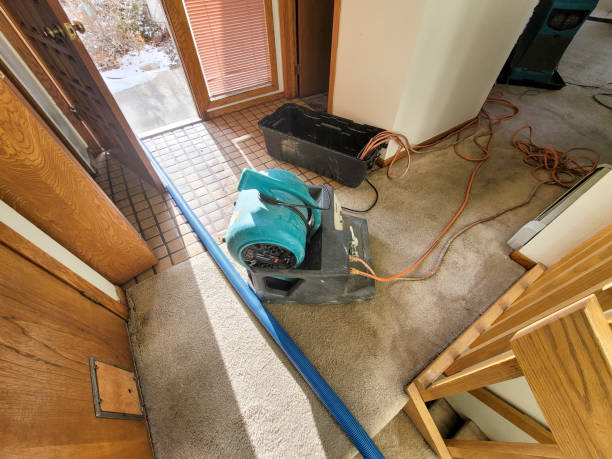 Best Flooded house restoration  in Sparrow Bush, NY