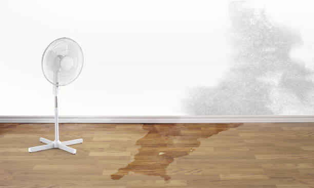 Best Water damage restoration experts  in Sparrow Bush, NY