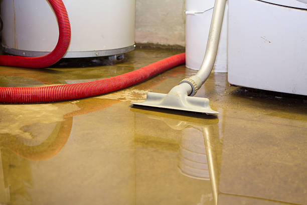 Sewage cleanup and water damage restoration in Sparrow Bush, NY