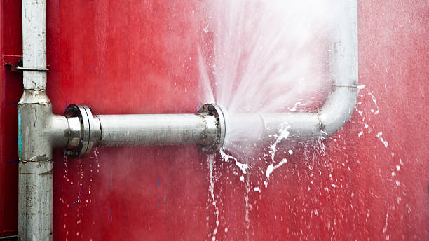 Best Ceiling water damage repair  in Sparrow Bush, NY
